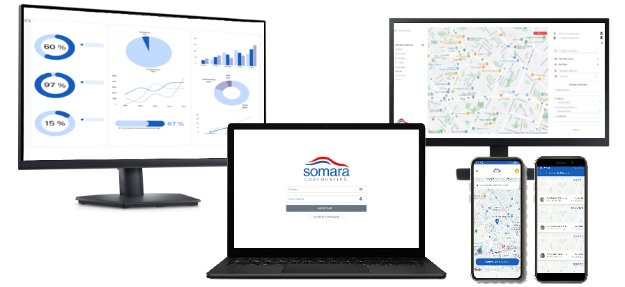 factor diferenciador